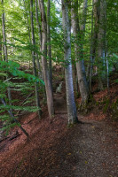 /album/chamey-gruyeres-schweiz-15-september-2025/chamey-gruyeres-15-09-2025-5-jpg/